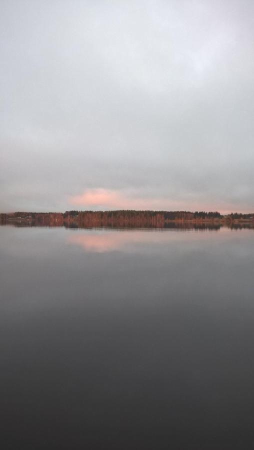 Guest House Haapaniemen Hirsikartano Иисалми Экстерьер фото