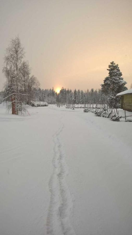 Guest House Haapaniemen Hirsikartano Иисалми Экстерьер фото